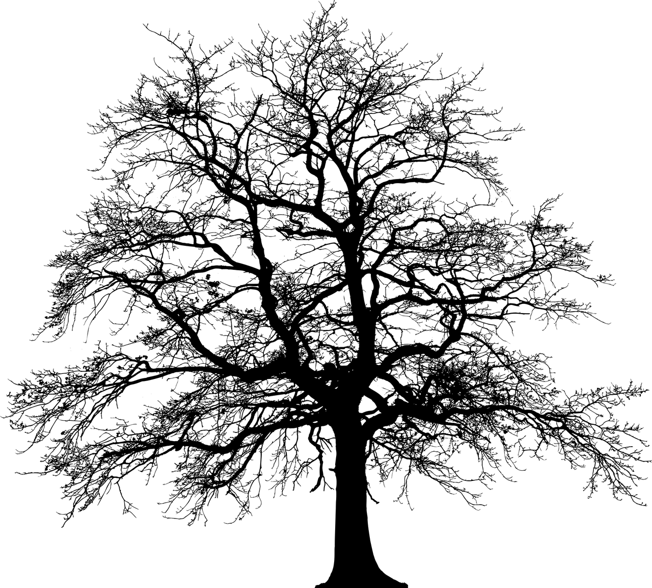 Les défis de la transition écologique pour l’industrie française : analyse du Medef