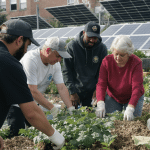 Renforcer la transition &eacute;cologique : miser sur l’engagement des jeunes et des seniors pour dynamiser le march&eacute; du travail